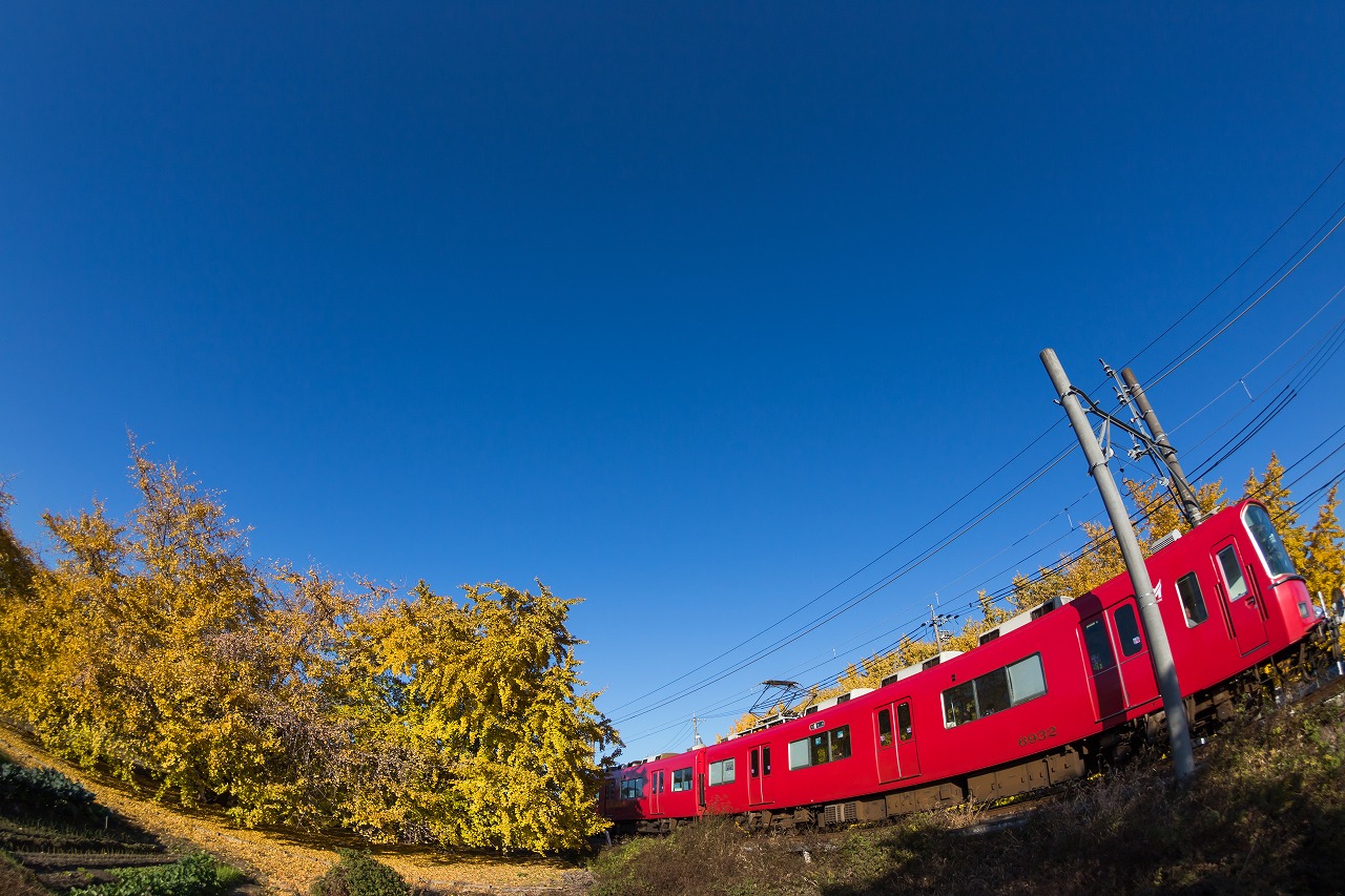 銀杏＆紅い電車　祖父江_e0244181_23224332.jpg