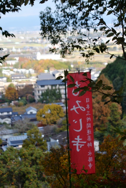 a0082884_7573155.jpg