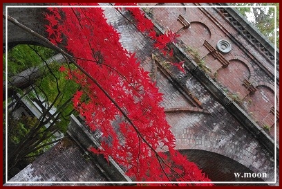 **今年の秋** 2013_c0207890_15181185.jpg