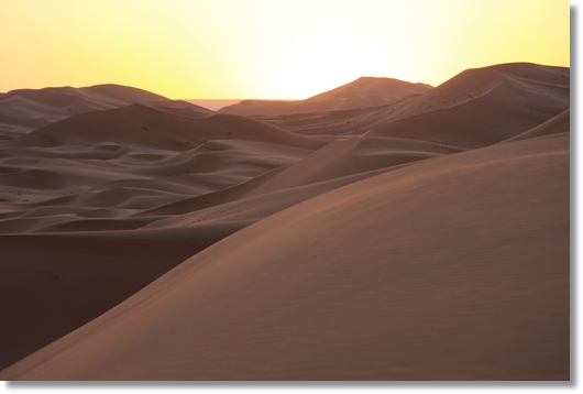 e0164690_22285612.jpg