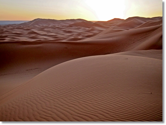 e0164690_2234464.jpg