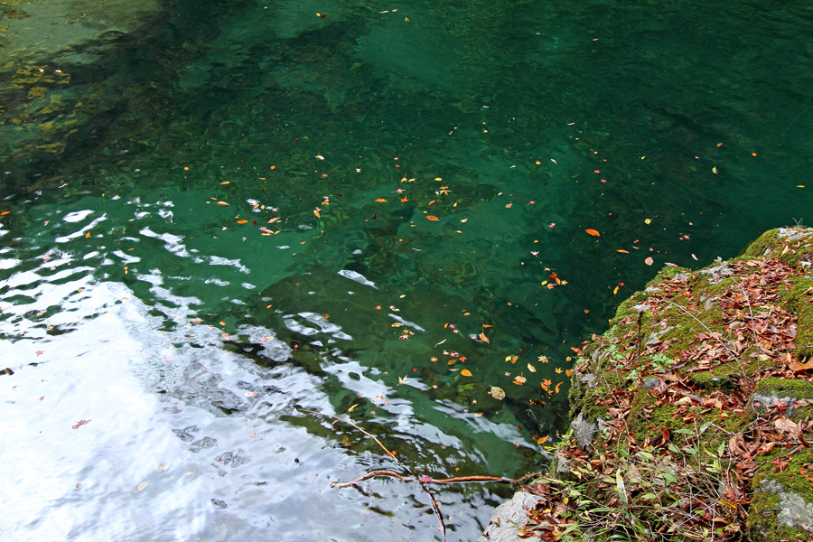 d0192097_2244866.jpg
