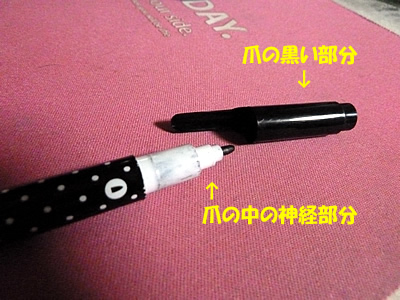 e0169097_1524469.jpg