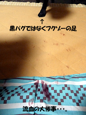 e0169097_1565730.jpg