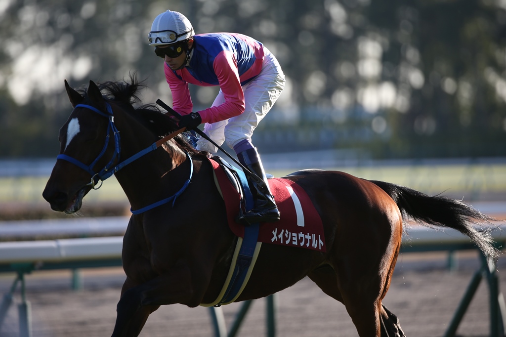 JRA サイレンススズカ 中京競馬場 1998年 金鯱賞 復刻馬券 鈍る