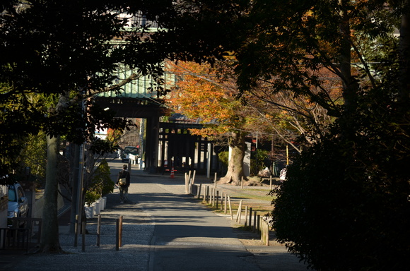 a0288500_10393721.jpg