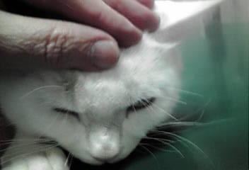 a0318802_23562590.jpg