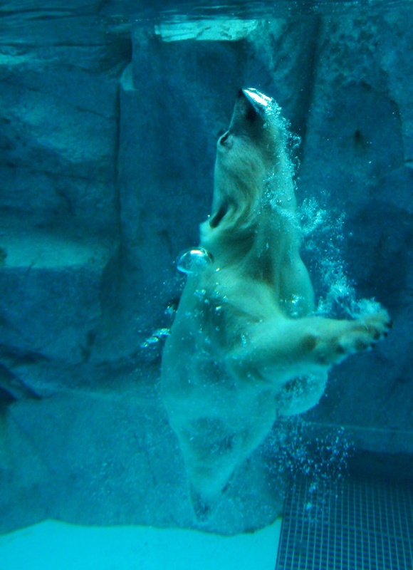 e0319302_2115665.jpg