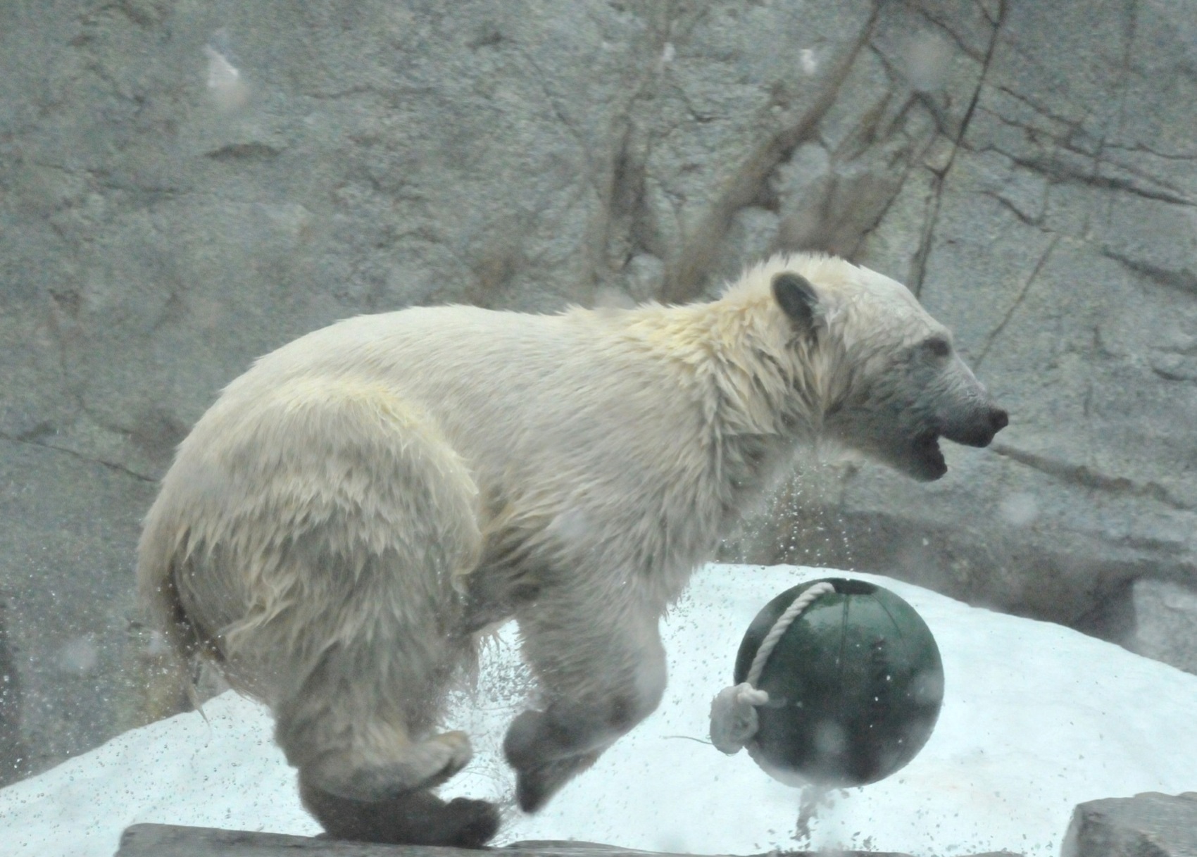 e0319302_2124431.jpg