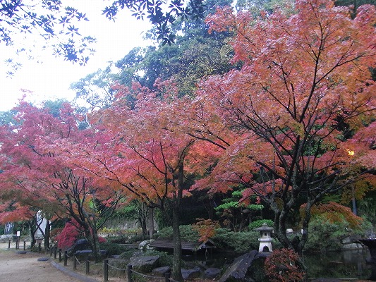 ’13-12：金比羅山＆烽火山_f0187402_21181939.jpg