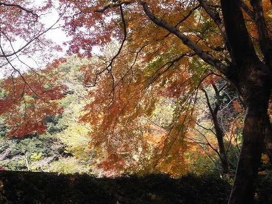 f0187402_21190554.jpg
