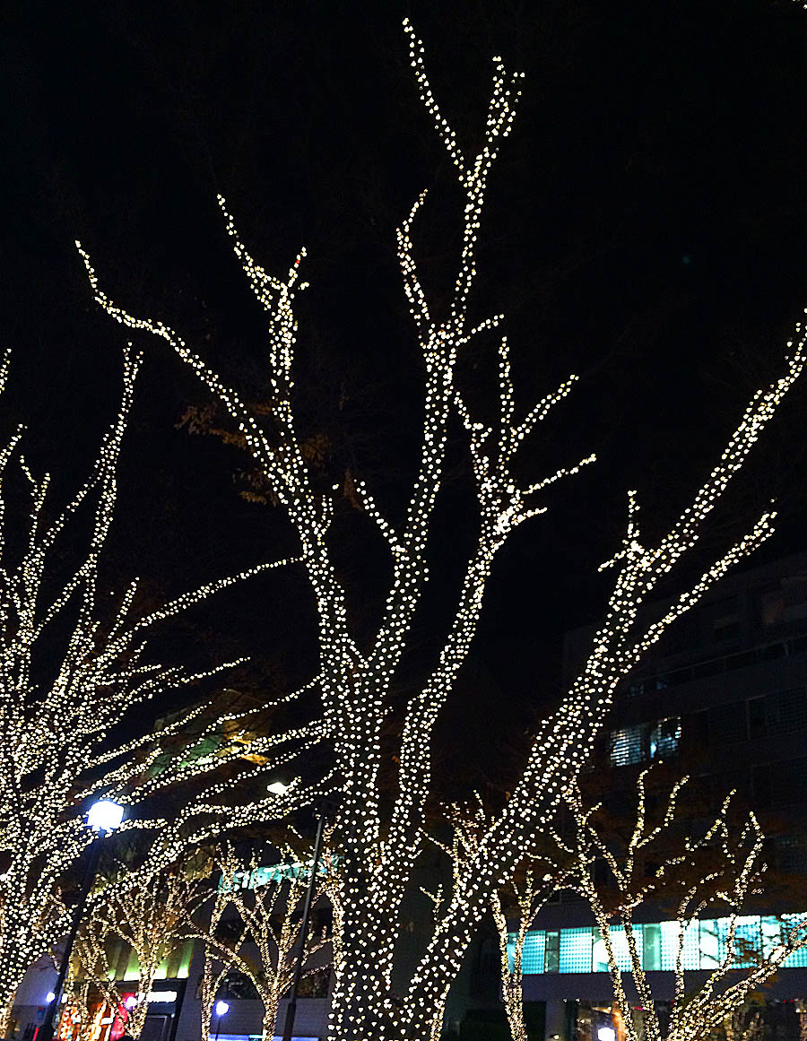 b0172203_18521596.jpg