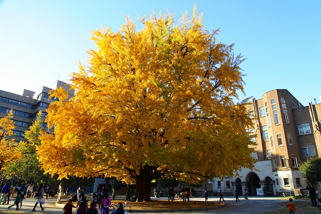 e0121110_22555333.jpg