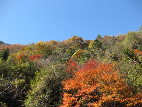 a0164011_18203181.jpg