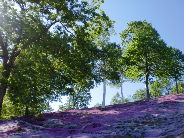 c0118011_1412502.jpg