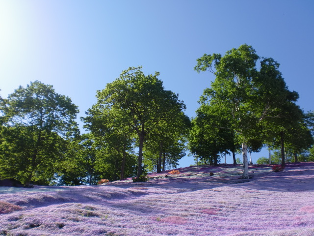 c0118011_14133172.jpg