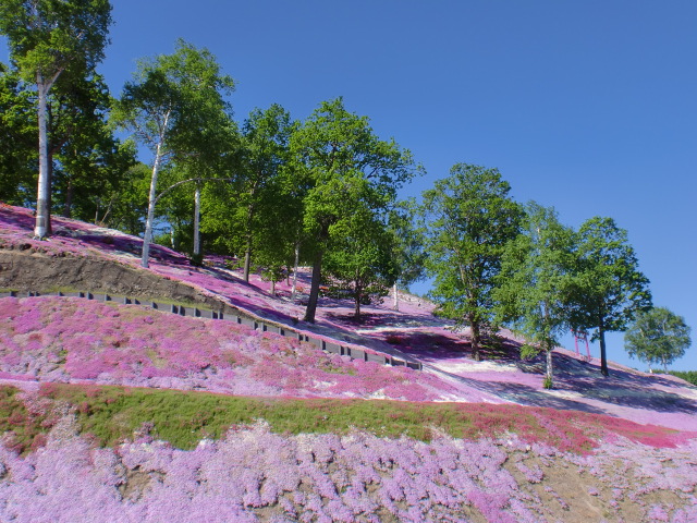 c0118011_1493410.jpg