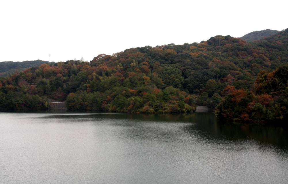 f0212511_2321137.jpg