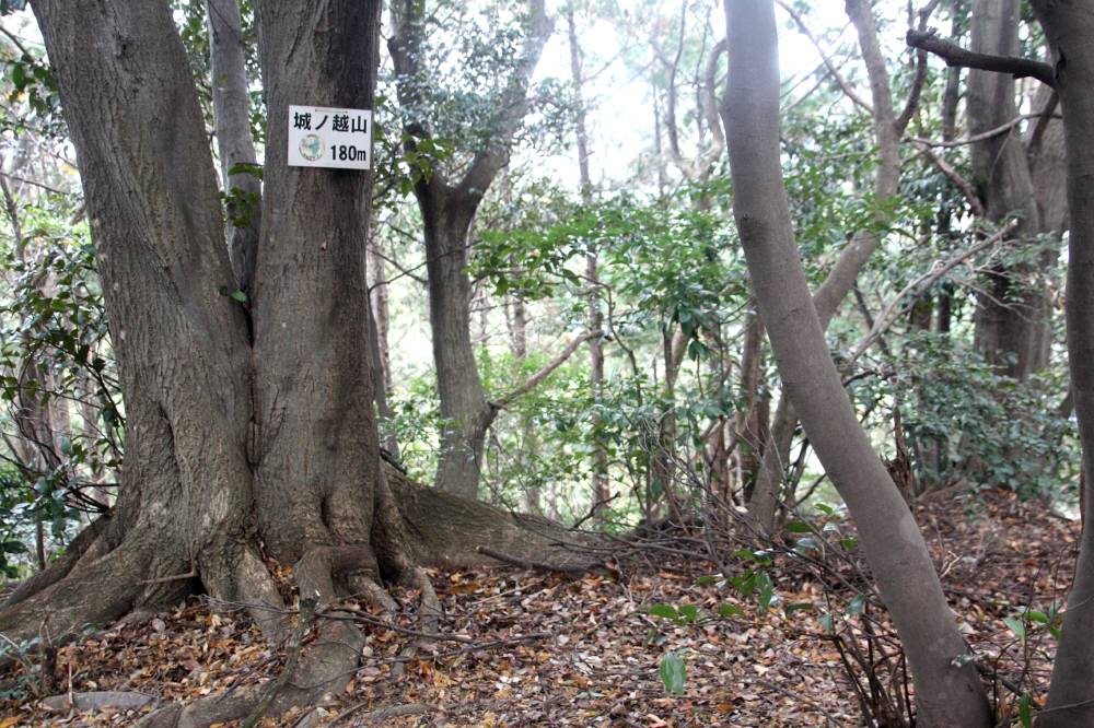 f0212511_2321145.jpg
