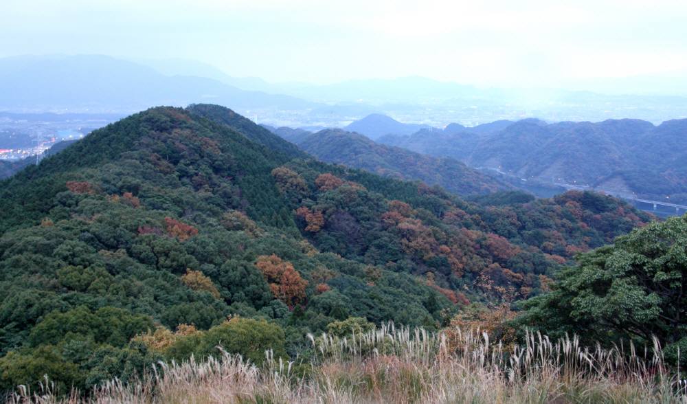 f0212511_2324255.jpg