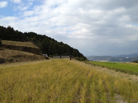 b0219913_910513.jpg