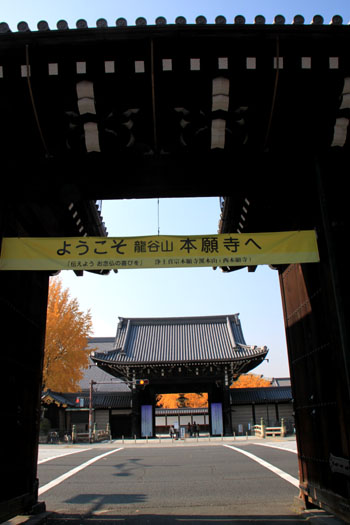 西本願寺 13黄葉だより65_e0048413_20253880.jpg