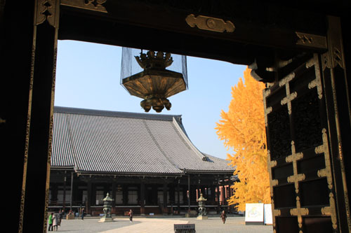 西本願寺 13黄葉だより65_e0048413_20255595.jpg