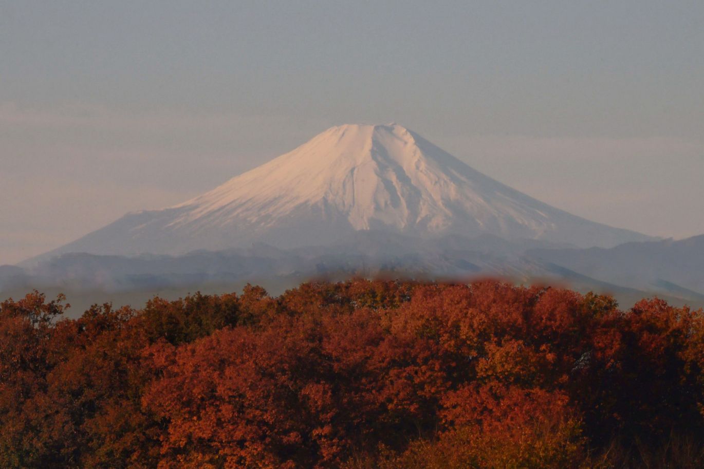 富士と紅葉_f0133213_19133967.jpg