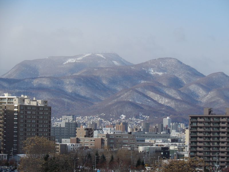 今日のイチョウ並木と手稲山_c0025115_19451284.jpg