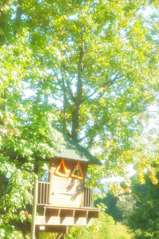 e0298415_9183529.jpg