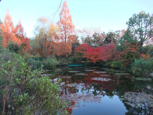 e0135518_177106.jpg