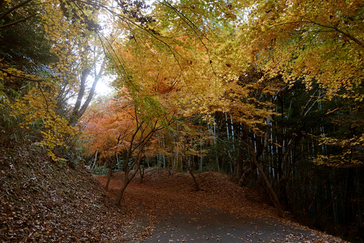 b0284519_2125760.jpg