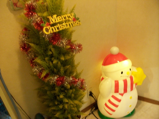 12月になりました~♪クリスマスクイズの答え♪_a0112220_11222490.jpg