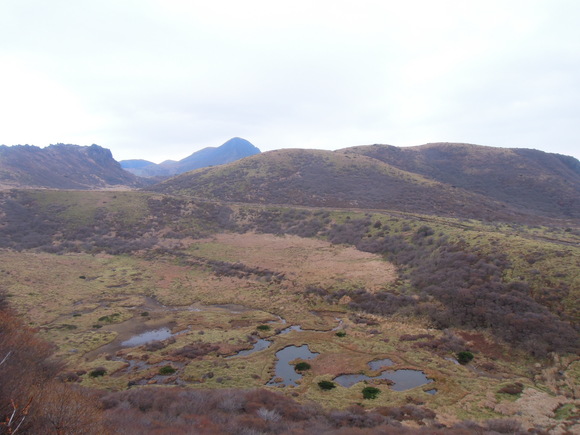 e0242423_725548.jpg