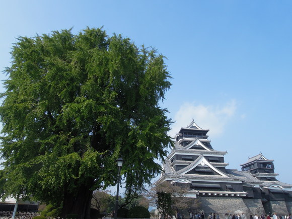 e0242423_8195283.jpg