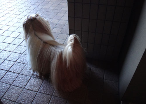 c0028424_118626.jpg
