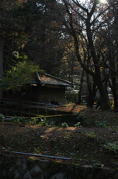 e0186025_17224858.jpg