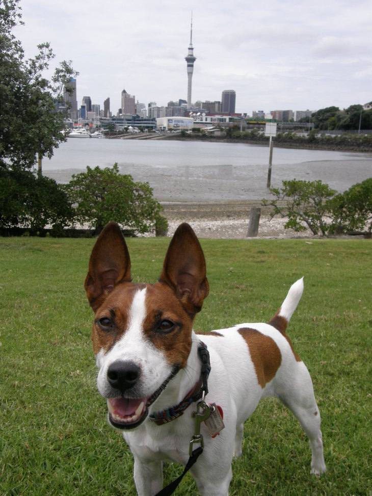 e0204927_863151.jpg
