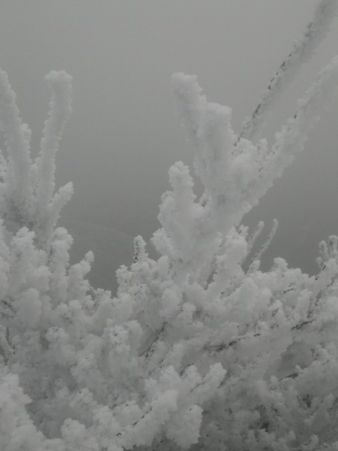 a0220528_0241441.jpg