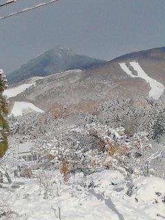 f0294128_17492097.jpg