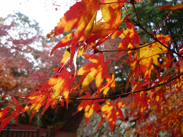 c0237432_13551317.jpg