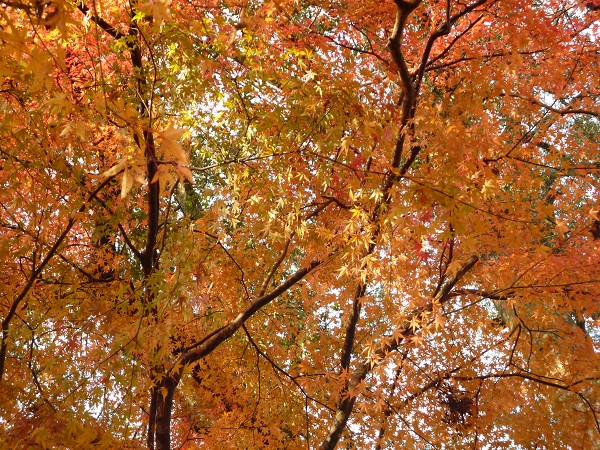 c0237432_1414550.jpg