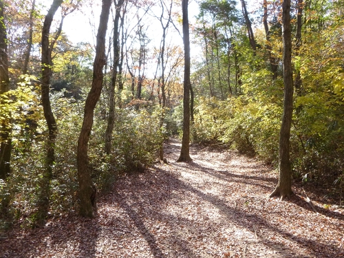 c0113733_053518.jpg