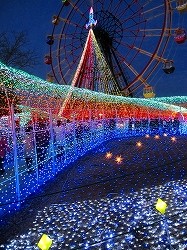 c0209637_1156401.jpg