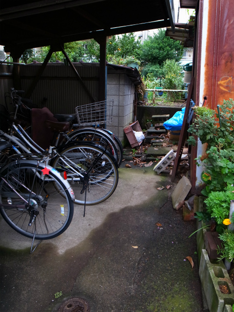 a0087341_13447.jpg