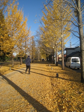 f0202151_1744221.jpg