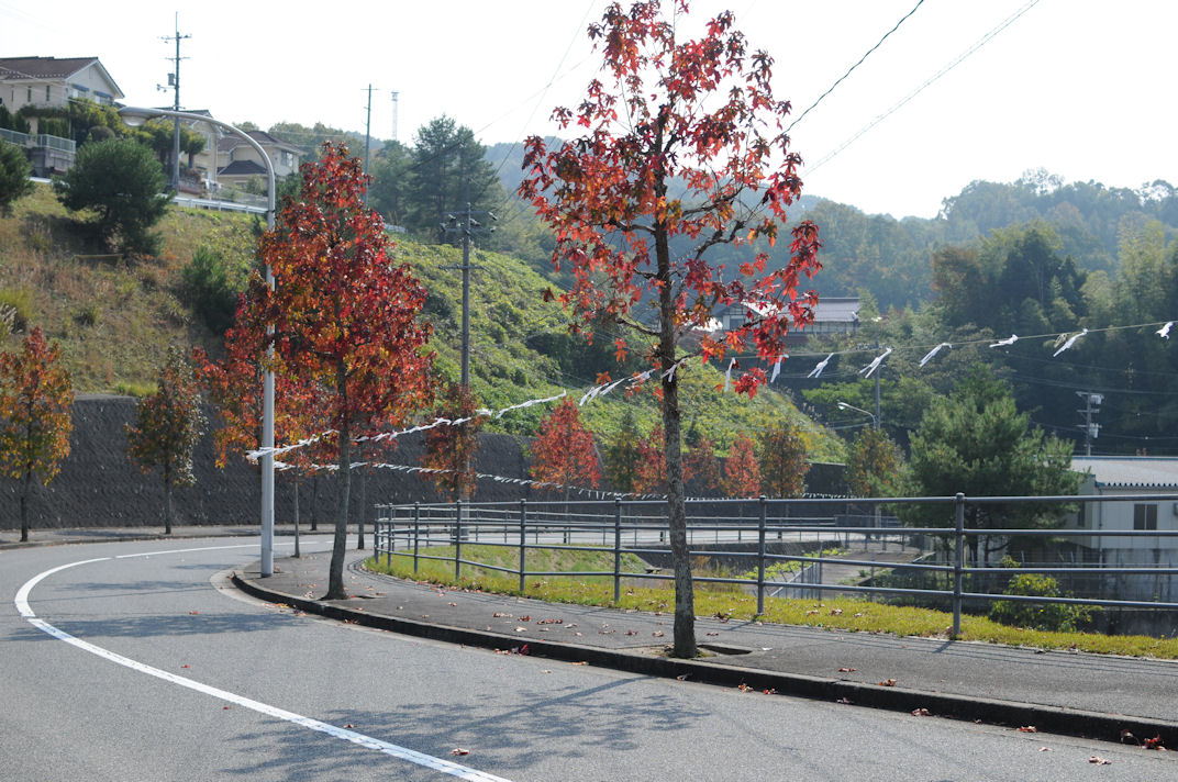 c0122455_343175.jpg
