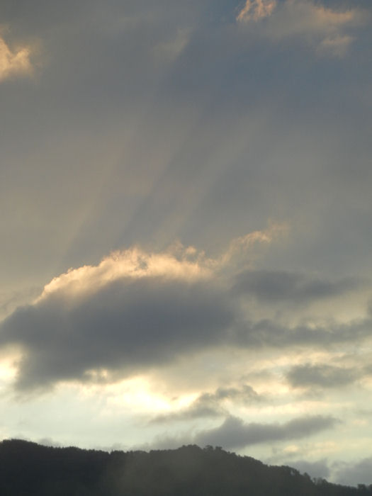 c0122455_4334090.jpg