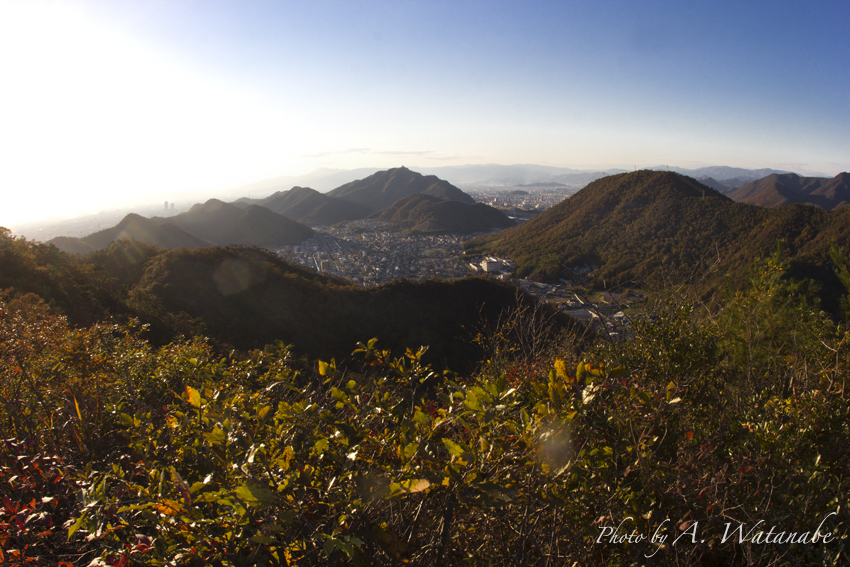 b0167256_2221875.jpg