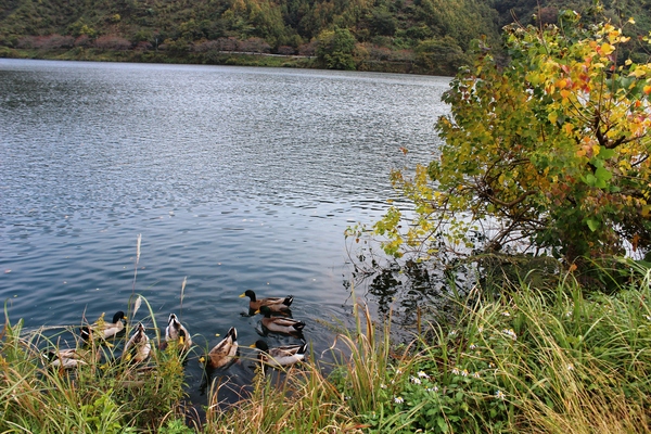a0174458_1493813.jpg
